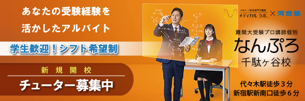 難関大受験プロ講師個別 なんぷろ（河合塾グループ）